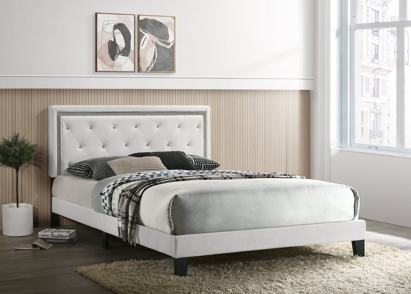 Passion Black Velvet Upholstered Tufted Platform Full Bed