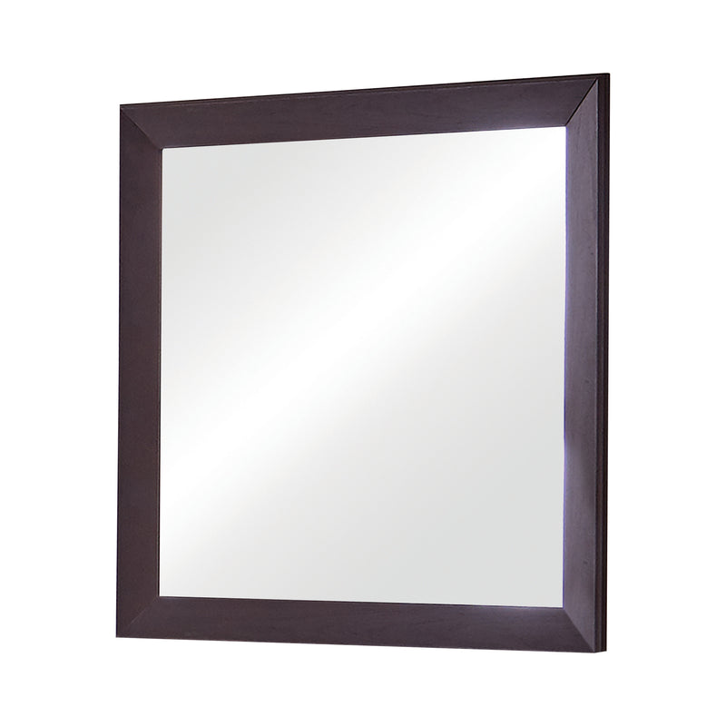 Kauffman Rectangular Mirror Washed Taupe