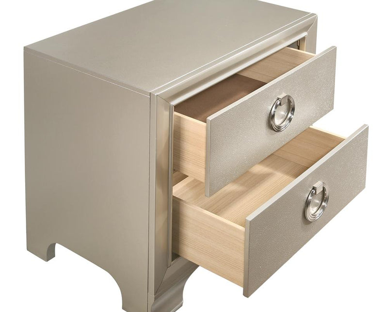 Salford 2 Drawer Nightstand Metallic Sterling