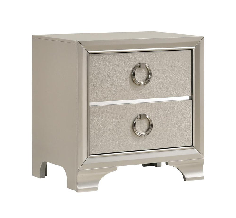 Salford 2 Drawer Nightstand Metallic Sterling