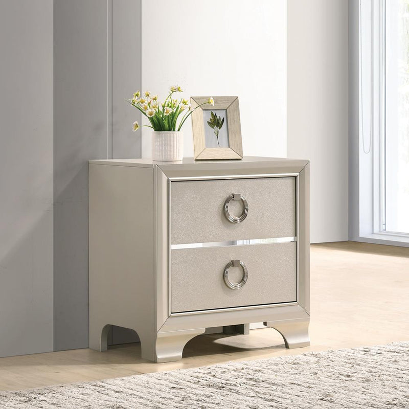 Salford 2 Drawer Nightstand Metallic Sterling