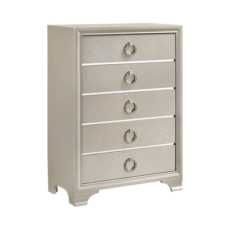 Salford 2 Drawer Nightstand Metallic Sterling