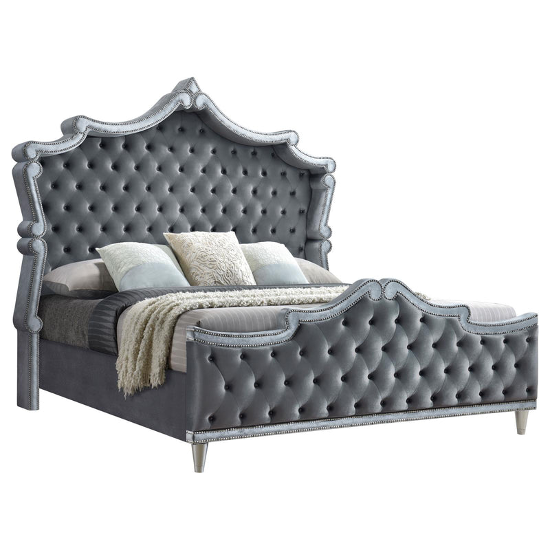 Antonella Upholstered Queen Panel Bed Grey